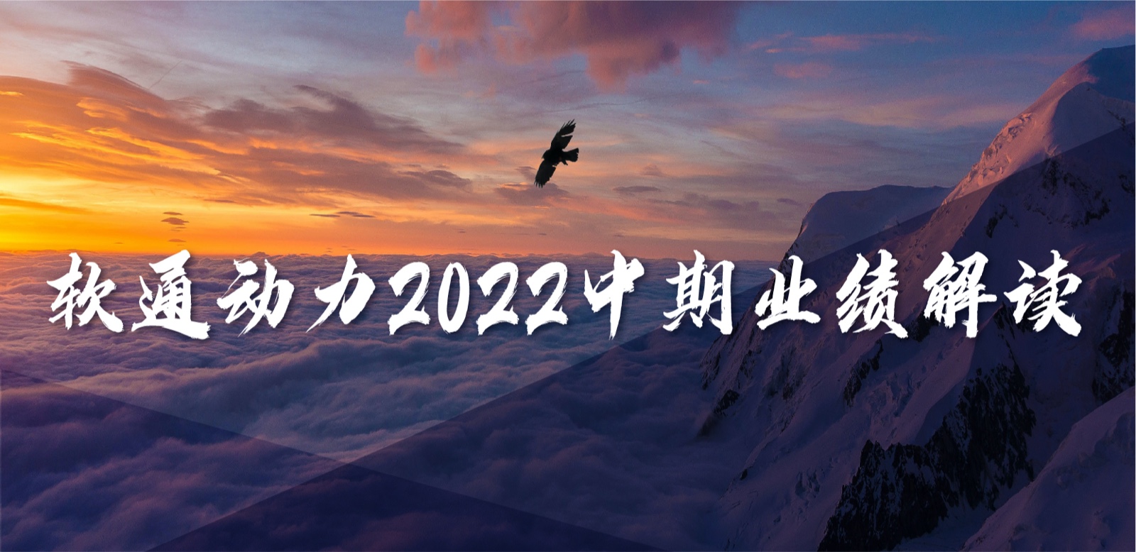 ʱ()ǲ!2022ҵʵΪӪȹһŻӪҵṹ