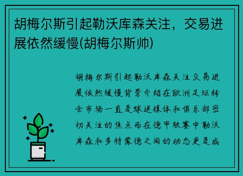 胡梅尔斯引起勒沃库森关注，交易进展依然缓慢(胡梅尔斯帅)